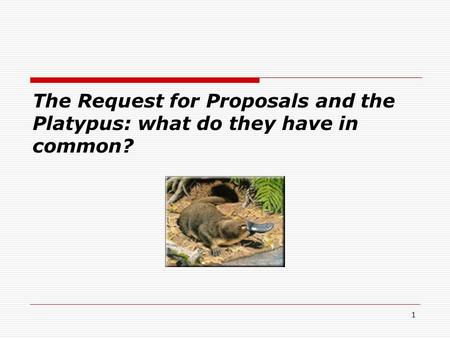 The Request for Proposals and the Platypus: what do they have in common? 1.