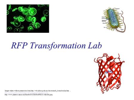 RFP Transformation Lab Images taken without permission from