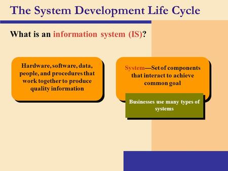 The System Development Life Cycle