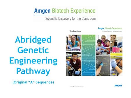 Abridged Genetic Engineering Pathway (Original “A” Sequence)