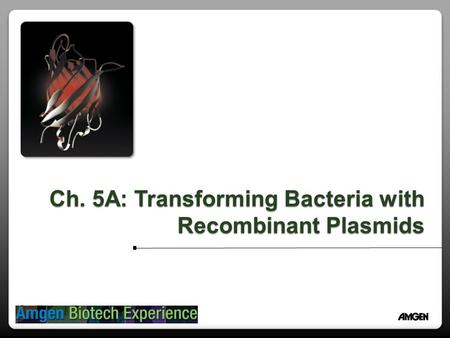 Ch. 5A: Transforming Bacteria with Recombinant Plasmids.