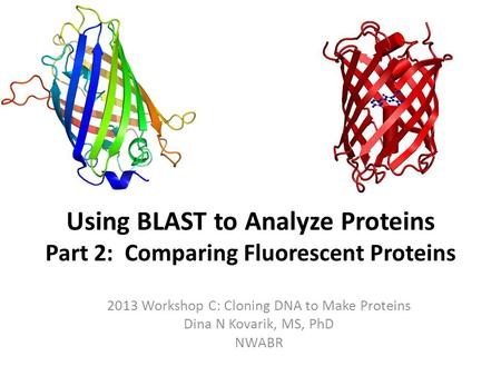 Using BLAST to Analyze Proteins Part 2: Comparing Fluorescent Proteins 2013 Workshop C: Cloning DNA to Make Proteins Dina N Kovarik, MS, PhD NWABR.