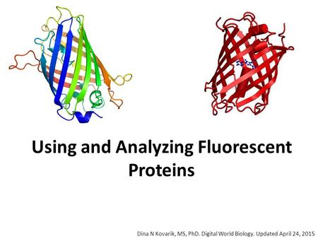 Using and Analyzing Fluorescent Proteins Dina N Kovarik, MS, PhD. Digital World Biology. Updated April 24, 2015.