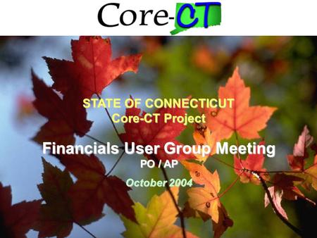 1 Financials User Group Meeting PO / AP October 2004 STATE OF CONNECTICUT Core-CT Project.
