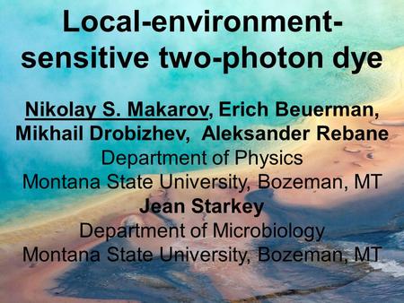 Local-environment- sensitive two-photon dye Nikolay S. Makarov, Erich Beuerman, Mikhail Drobizhev, Aleksander Rebane Department of Physics Montana State.