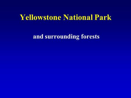 Yellowstone National Park and surrounding forests.