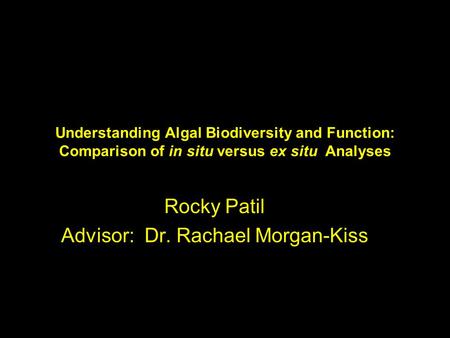 Understanding Algal Biodiversity and Function: Comparison of in situ versus ex situ Analyses Rocky Patil Advisor: Dr. Rachael Morgan-Kiss.