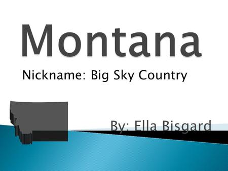 By: Ella Bisgard Nickname: Big Sky Country. AnimalBird  Grizzly Bear  Western Meadowlark.