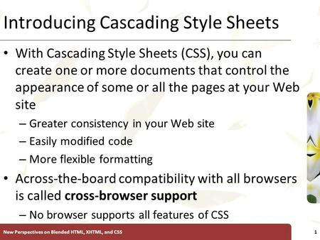 XP Introducing Cascading Style Sheets With Cascading Style Sheets (CSS), you can create one or more documents that control the appearance of some or all.