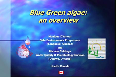 Blue Green algae: an overview Monique D’Amour Safe Environments Programme (Longueuil, Québec) and Michèle Giddings Water Quality & Microbiology Division.