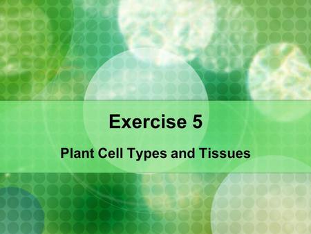 Plant Cell Types and Tissues