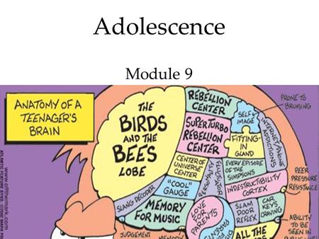 1 Adolescence Module 9. 2 Adolescence Adolescence Overview  Physical Development  Cognitive Development  Social Development Emerging Adulthood Today.