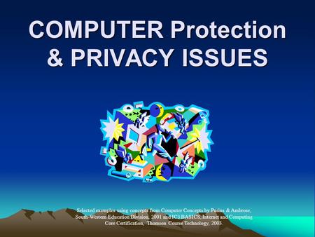 COMPUTER Protection & PRIVACY ISSUES Selected examples using concepts from Computer Concepts by Pusins & Ambrose, South-Western Education Division, 2001.
