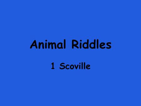 Animal Riddles 1 Scoville.