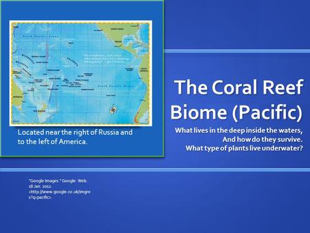 The Coral Reef Biome (Pacific) What lives in the deep inside the waters, And how do they survive. What type of plants live underwater? Google Images.