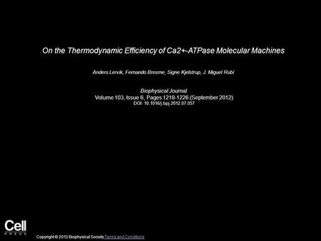 On the Thermodynamic Efficiency of Ca2+-ATPase Molecular Machines Anders Lervik, Fernando Bresme, Signe Kjelstrup, J. Miguel Rubí Biophysical Journal Volume.