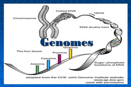 Genomes.