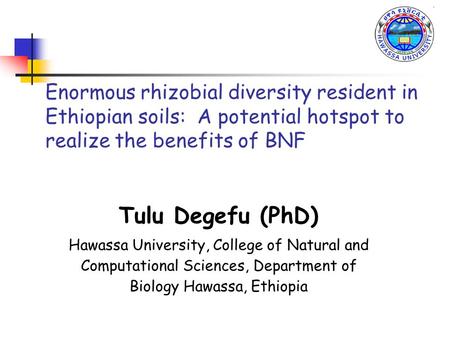 Enormous rhizobial diversity resident in Ethiopian soils: A potential hotspot to realize the benefits of BNF Tulu Degefu (PhD) Hawassa University, College.