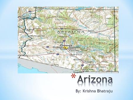 By: Krishna Bhatraju. The symbols of Arizona are listed below. * Arizona state amphibian: Arizona Treefrog * Arizona state bird: Cactus Wren * Arizona.
