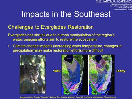 Impacts in the Southeast Challenges to Everglades Restoration Everglades has shrunk due to human manipulation of the region’s water; ongoing efforts aim.