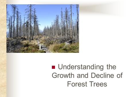 Understanding the Growth and Decline of Forest Trees.