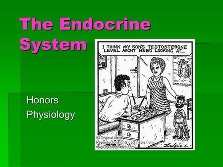 The Endocrine System Honors Physiology.
