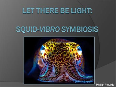 Phillip Plourde. Symbiosis  The formation of an often long-term association or alliance between two or more individual organisms.