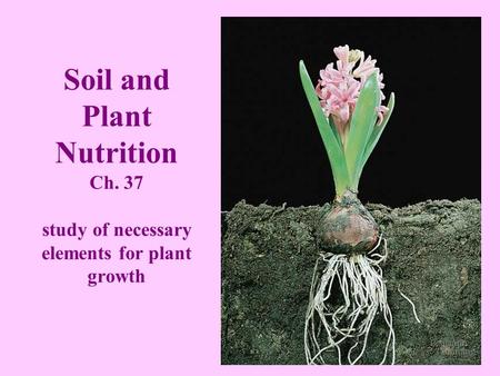 Soil and Plant Nutrition Ch
