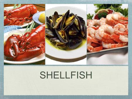 SHELLFISH. There are two classifications of shellfish: 1. Mollusks: soft sea animals that fall into three main categories: Univalves, which have a single.