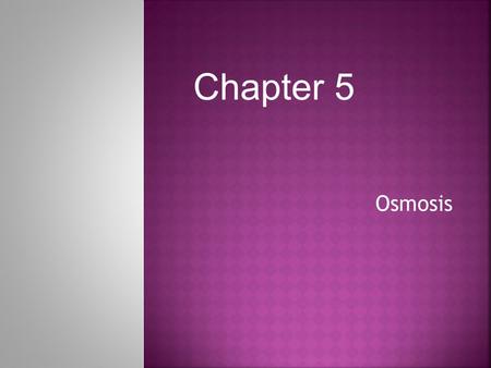 Osmosis Chapter 5.  REVIEW: An important function of cell membrane is to regulate the movement of dissolved molecules from the liquid on one side of.
