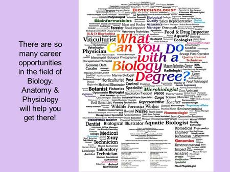 There are so many career opportunities in the field of Biology. Anatomy & Physiology will help you get there!