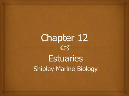 Estuaries Shipley Marine Biology