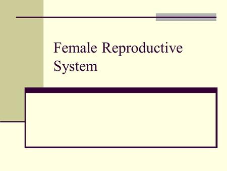 Female Reproductive System. Is made up of female gonads, external genitalia, and the gamete or mature female germ cell. Ovum is an egg or mature female.