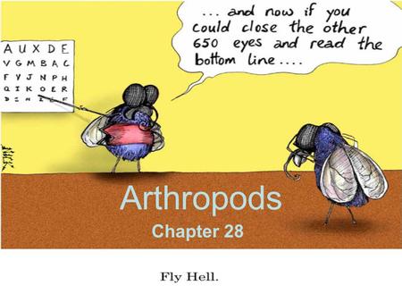 Arthropods Chapter 28.