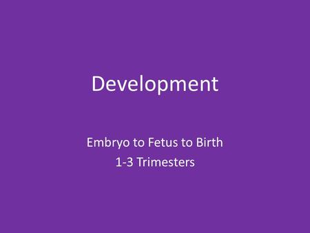 Development Embryo to Fetus to Birth 1-3 Trimesters.