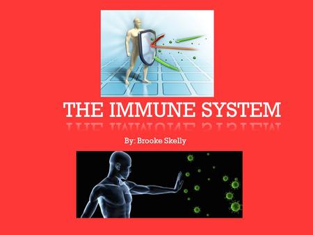 By: Brooke Skelly. WHAT IS THE IMMUNE SYSTEM? The immune system protects the body from disease and other damaging bodies. The immune system works hard.