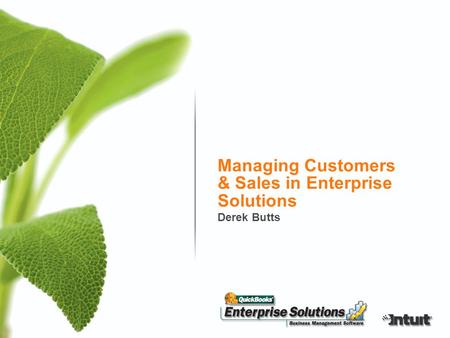 Managing Customers & Sales in Enterprise Solutions Derek Butts.