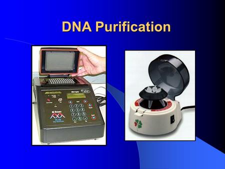DNA Purification. Definition DNA purification is a technique that removes impurities and unused reagents from samples after enzymatic reactions, such.