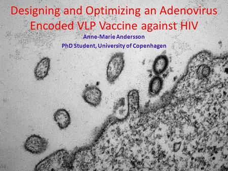 Designing and Optimizing an Adenovirus Encoded VLP Vaccine against HIV Anne-Marie Andersson PhD Student, University of Copenhagen.