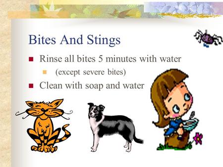 Bites And Stings Rinse all bites 5 minutes with water (except severe bites) Clean with soap and water.