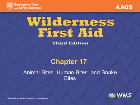 Chapter 17 Animal Bites, Human Bites, and Snake Bites.