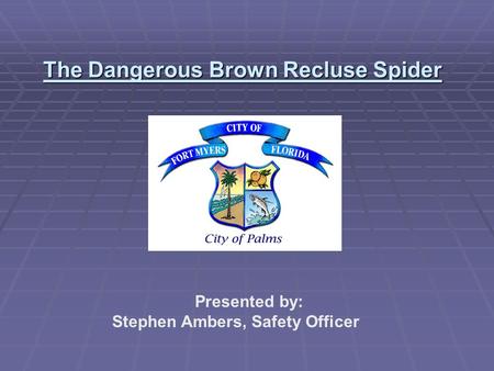 The Dangerous Brown Recluse Spider Presented by: Stephen Ambers, Safety Officer.