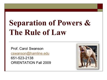 Separation of Powers & The Rule of Law Prof. Carol Swanson 651-523-2138 ORIENTATION Fall 2009.