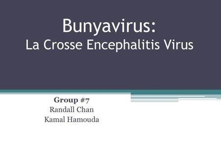 Bunyavirus: La Crosse Encephalitis Virus
