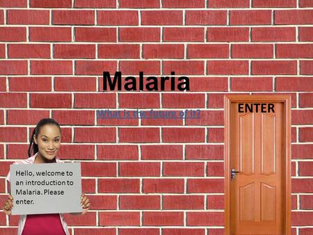 Hello, welcome to an introduction to Malaria. Please enter. Malaria ENTER What is the future of it?