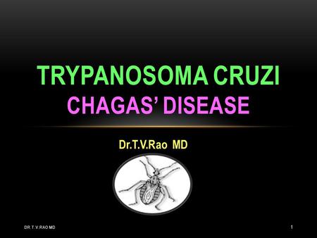 Dr.T.V.Rao MD TRYPANOSOMA CRUZI TRYPANOSOMA CRUZI CHAGAS’ DISEASE DR.T.V.RAO MD 1.