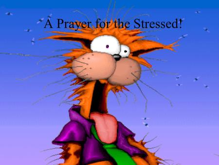 A Prayer for the Stressed! Grant me the serenity to accept the things I cannot change, the courage to change the things I cannot accept, and the wisdom.