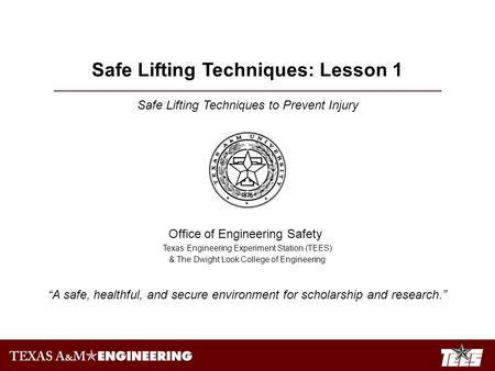 Safe Lifting Techniques to Prevent Injury Office of Engineering Safety Texas Engineering Experiment Station (TEES) & The Dwight Look College of Engineering.