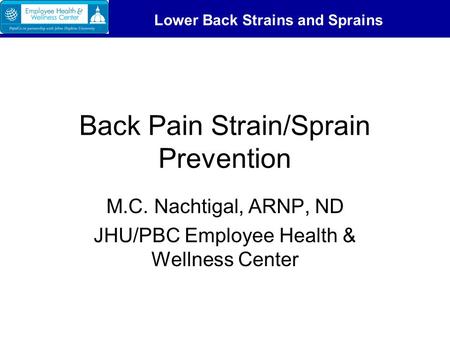 Lower Back Strains and Sprains Back Pain Strain/Sprain Prevention M.C. Nachtigal, ARNP, ND JHU/PBC Employee Health & Wellness Center.