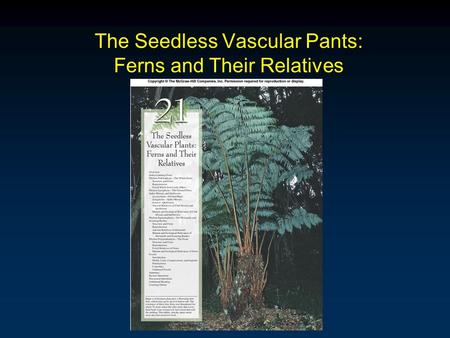 The Seedless Vascular Pants: Ferns and Their Relatives